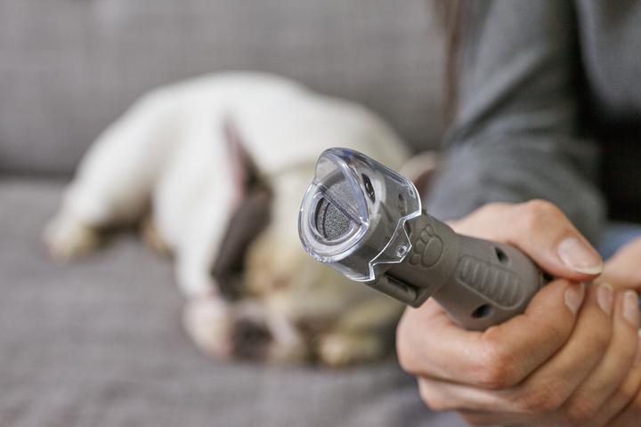 Produktbild Dremel SD60-PGK Schleifscheiben für die Krallenpflege (60)