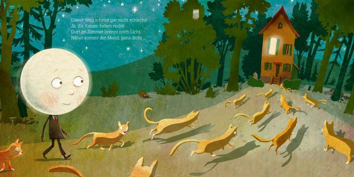 Produktbild Wenn der Mond die Sterne zählt... und dem Kind beim Schlafen hilft (Deutsch, Günther Jakobs, 2018)