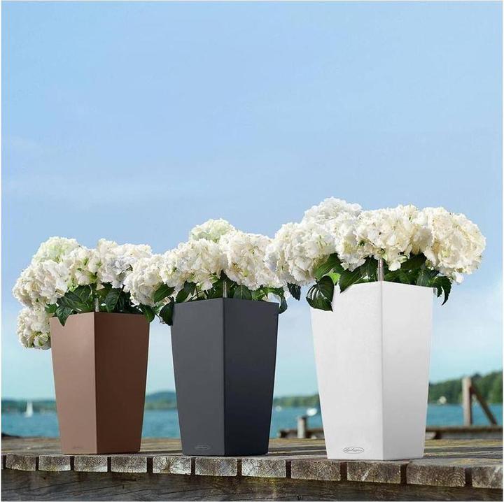 Image du produit Lechuza Classico Color (27.50 cm)