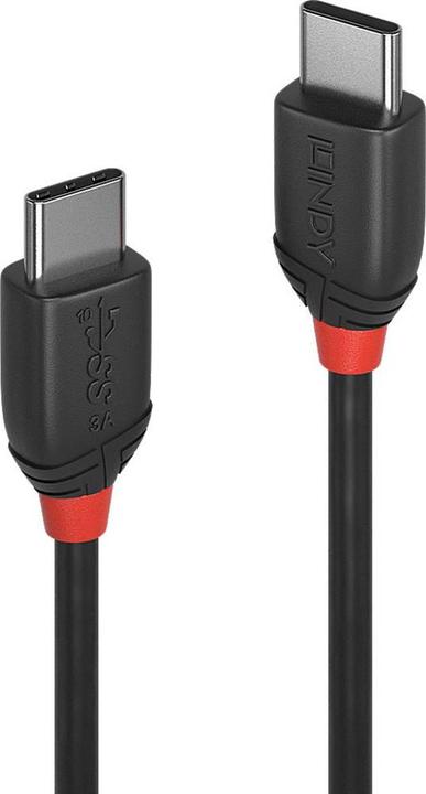 Actual product image Lindy black line (0.50 m, USB 3.1)