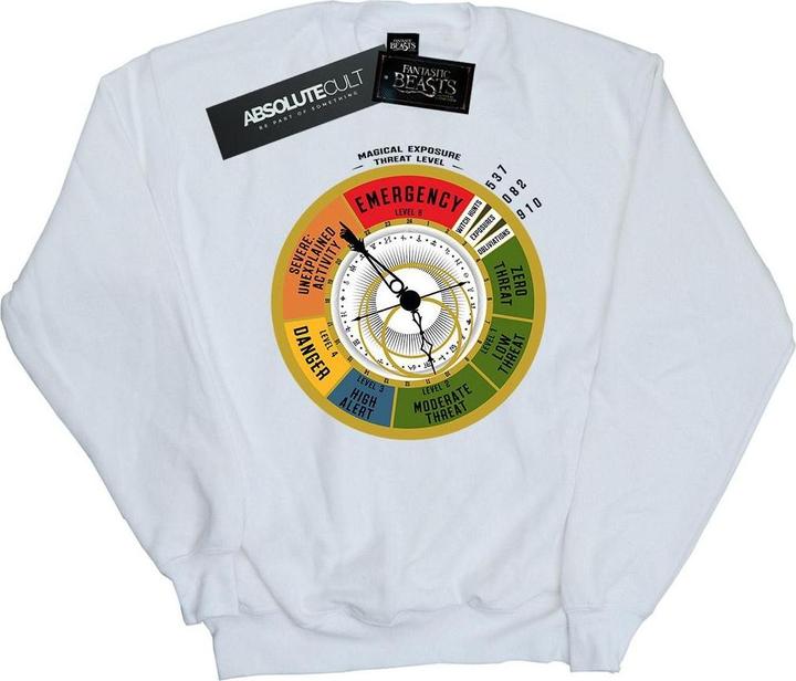 Produktbild Fantastic Beasts Threat Level Sweatshirt Jungen (152, 158)