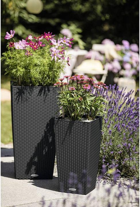 Produktbild Lechuza Cubico Cottage (29.50 cm)