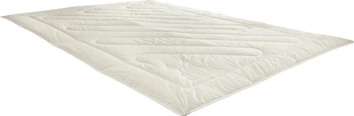 Actual product image Erwin Müller Organic hemp (650 g, 135 x 220 cm)