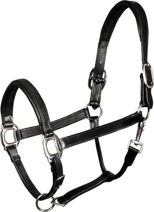 Immagine prodotto Harry's Horse Cavezza in cuoio imbottita per cavalli