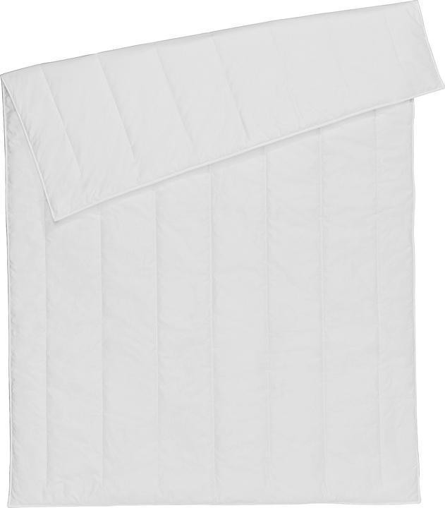 Produktbild Centa-Star Duo-Steppbett (960 g, 155 x 220 cm)
