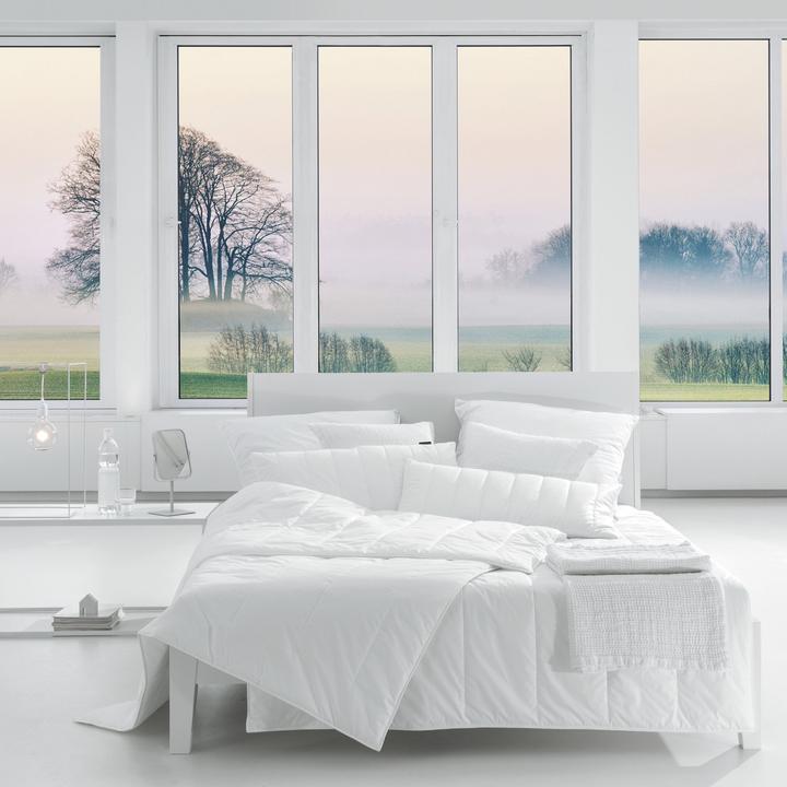 Produktbild Centa-Star Duo-Steppbett (960 g, 155 x 220 cm)