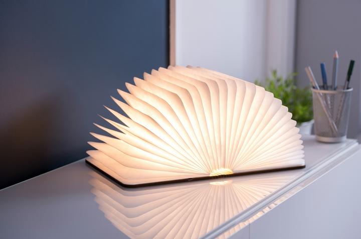 Immagine prodotto Gingko libro intelligente (400 lm)