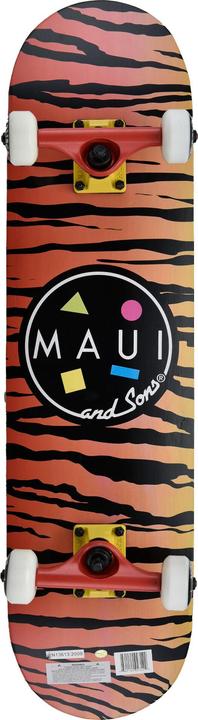 Actual product image Maui and Sons Barracuda