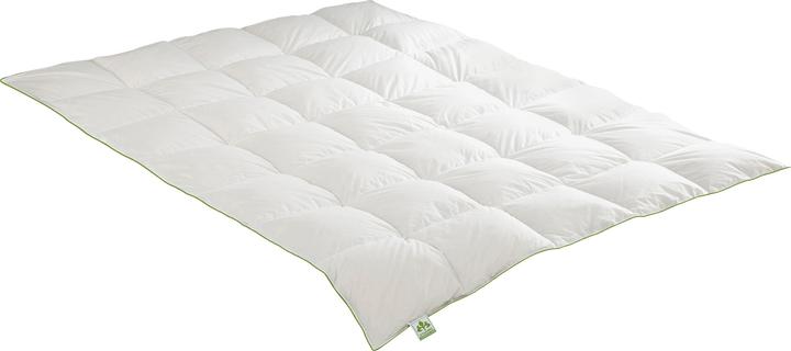 Produktbild Irisette Einziehdecke "Daune" (650 g, 155 x 200 cm)