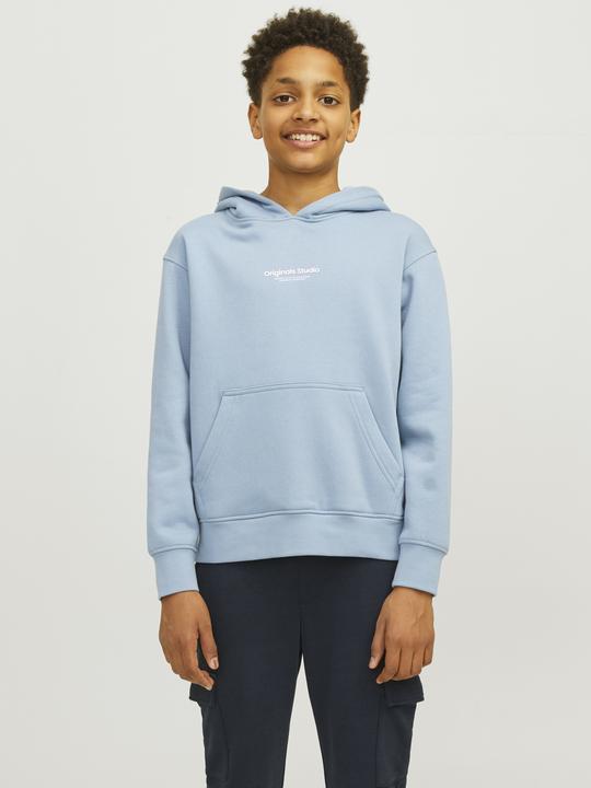 Actual product image Jack & Jones Jorvesterbro Sweat Hood Noos Mni (110)