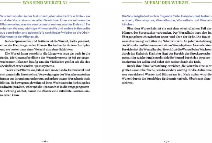 Actual product image Die Kraft der Wurzeln (German, Miriam Cradle, 2020)