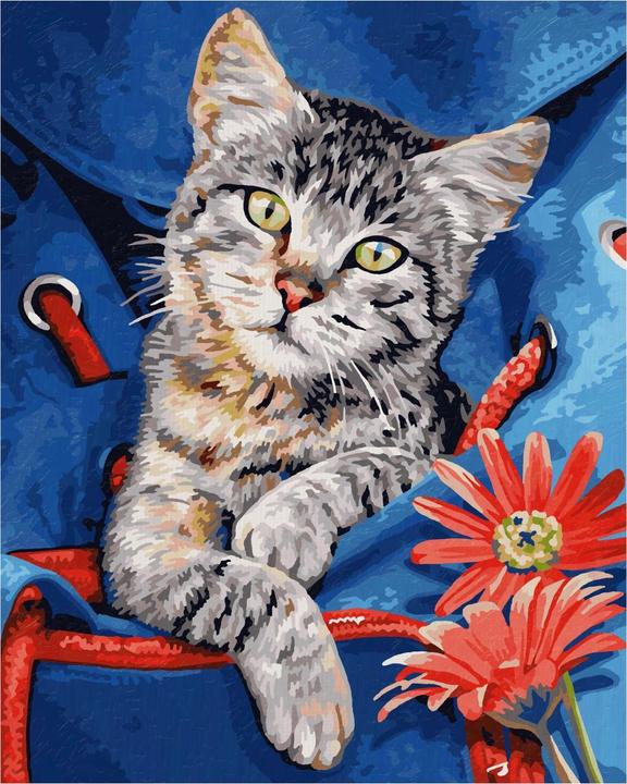 Immagine prodotto Simba MNZ - Gatto nello zaino