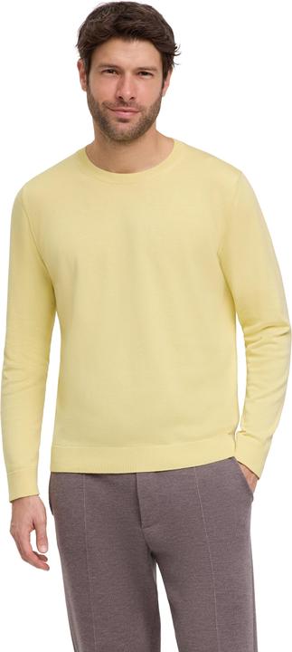 Immagine prodotto Falke Maglia da uomo (XL)
