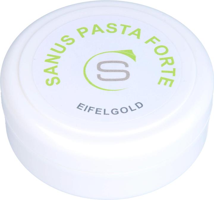Immagine prodotto Sanus PASTA FORTE, 100 g di unguento (Crema corpo)