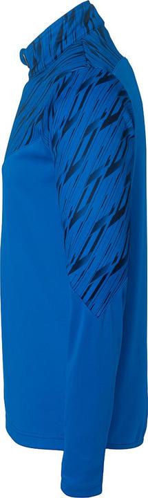 Actual product image Uhlsport 1/4 ZIP TOP Progressive 28 (L)