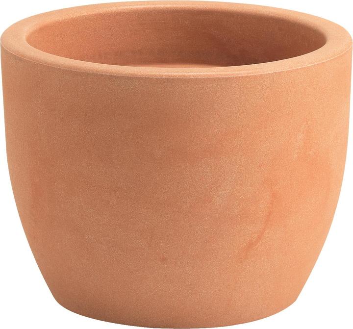 Immagine prodotto Giarnaldo Hera (60 cm)