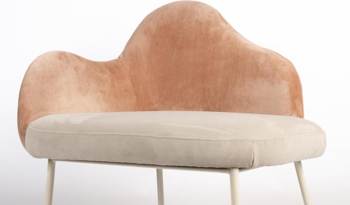 Image du produit Zuiver Lounge Chair Friuli