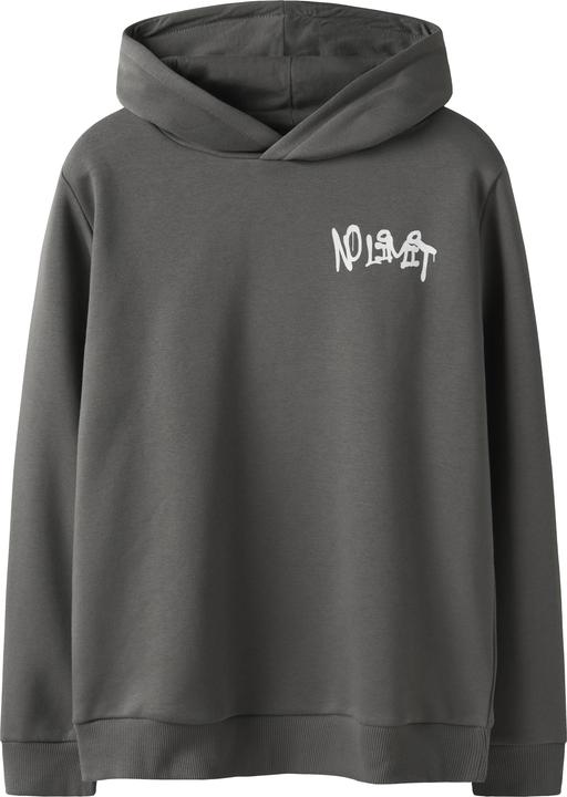 Lmtd Loose Fit Hoodie
