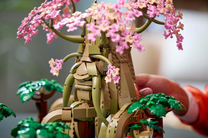 Actual product image LEGO The Legend of Zelda - Deku Tree 2-in-1 (77092, LEGO The Legend of Zelda)