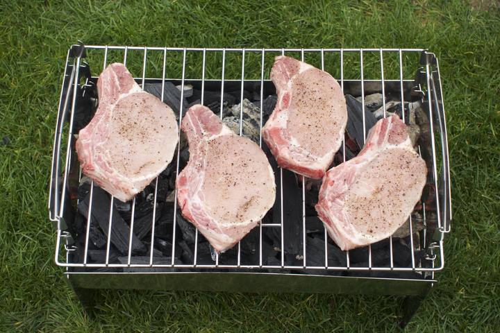 Image du produit PGrill 230 (35 cm)