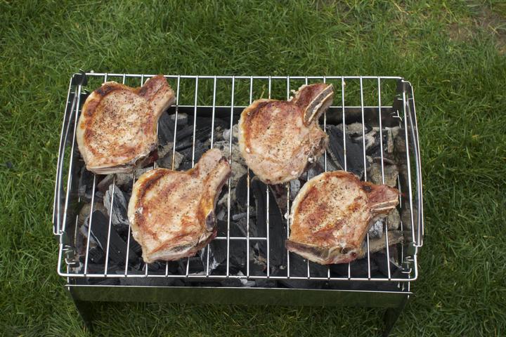 Image du produit PGrill 230 (35 cm)