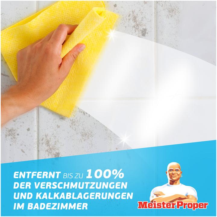 Actual product image Meister Proper Badreiniger Spray