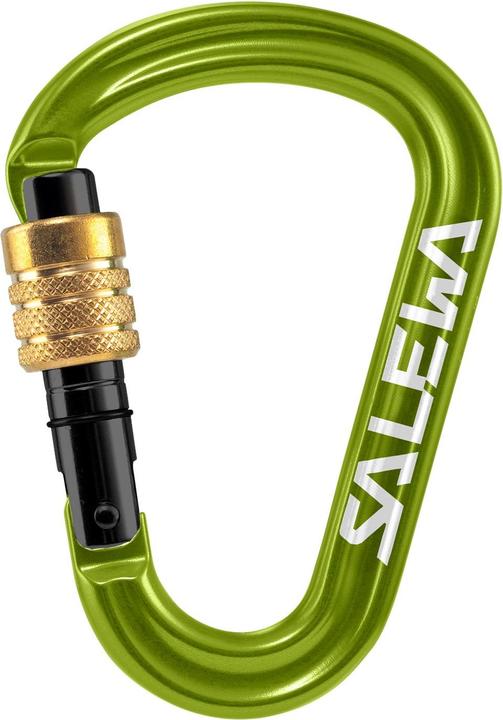 Image du produit Salewa Mousqueton HMS Pro