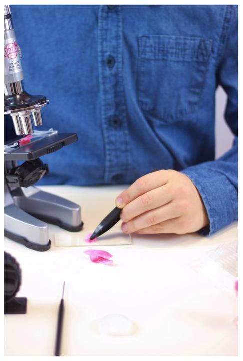 Image du produit Buki Microscope - 30 expériences