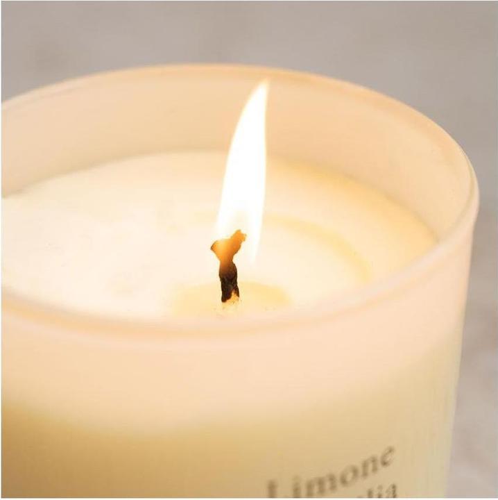 Actual product image Jean & Len Limone di Sicilia (230 g)