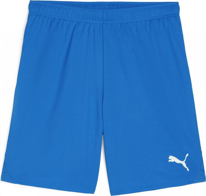 Actual product image Puma teamGOAL shorts (L)
