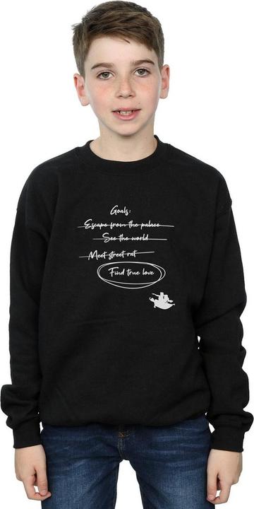 Actual product image Disney Boys Aladdin Jasmine Goals Sweatshirt (140, 146)