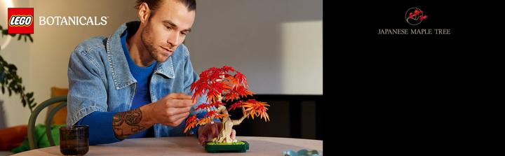 Actual product image LEGO Japanischer Roter Ahorn - Bonsai-Baum (10348, LEGO Botanical)