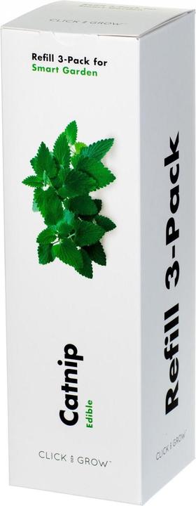 Actual product image Click and Grow Catnip (Herb seeds)