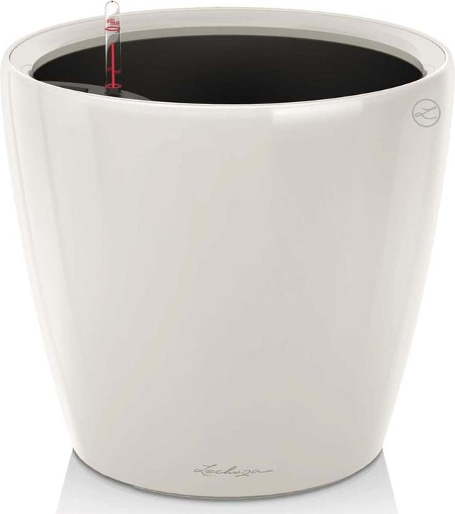 Immagine prodotto Lechuza Classico (36 cm)