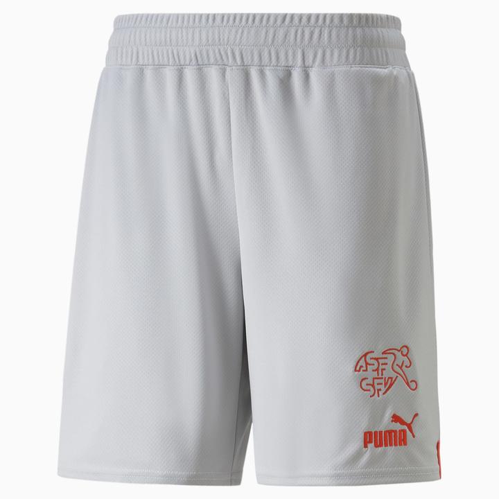 Actual product image Puma SFV Shorts Replica (XL)