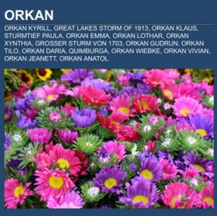 Produktbild Orkan (Deutsch, Books LLC, 2012)