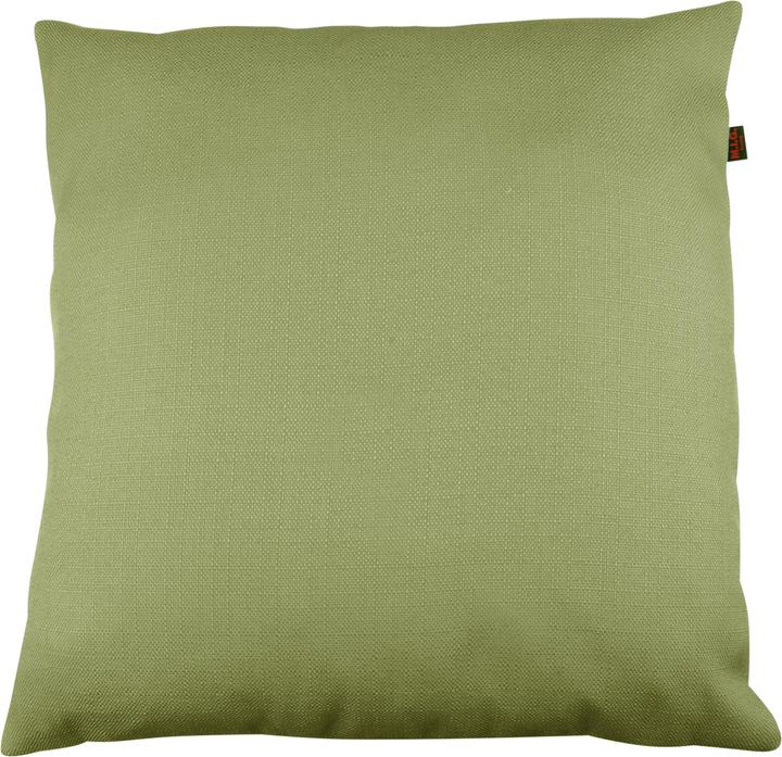 Bischof-Gross Université (38 x 38 cm)