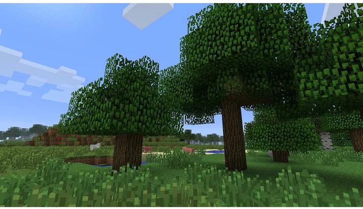 Actual product image Nintendo Minecraft (Switch, Multilingual)