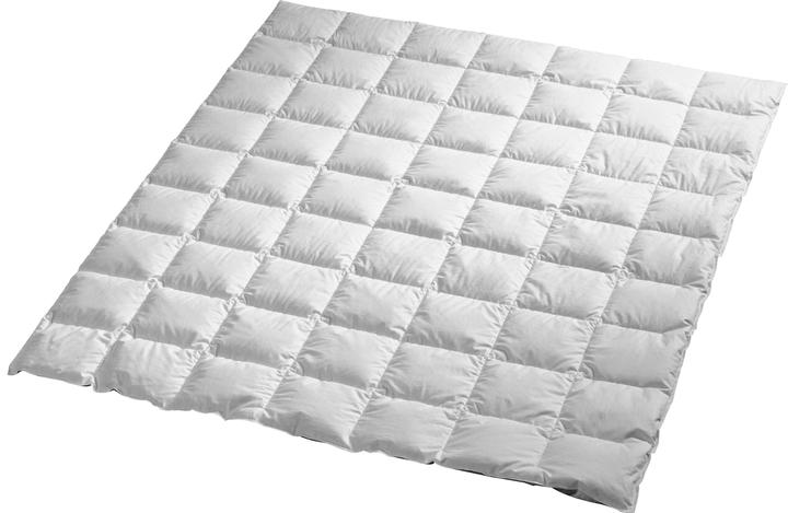 Produktbild Billerbeck Edition Thea (500 g, 200 x 210 cm)
