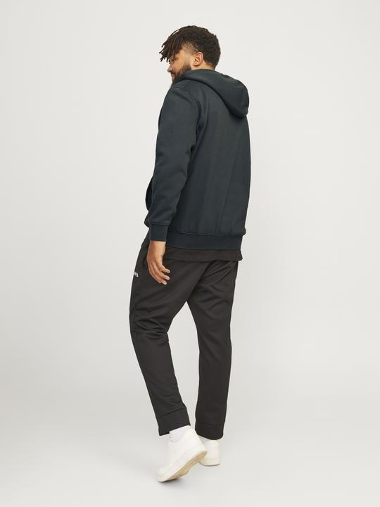 Actual product image Jack & Jones Jorvesterbro Sweat Zip Hood Noos Pls (XXL)