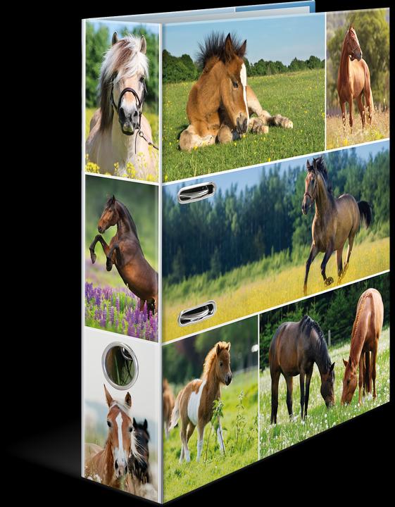 Image du produit HERMA Dossier A4 Motif (A4, 70 mm, 1 pièce(s))