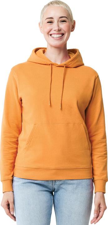 Actual product image Universal Textiles Unisex Adult Jasper Recycled Cotton Hoodie (3XL)