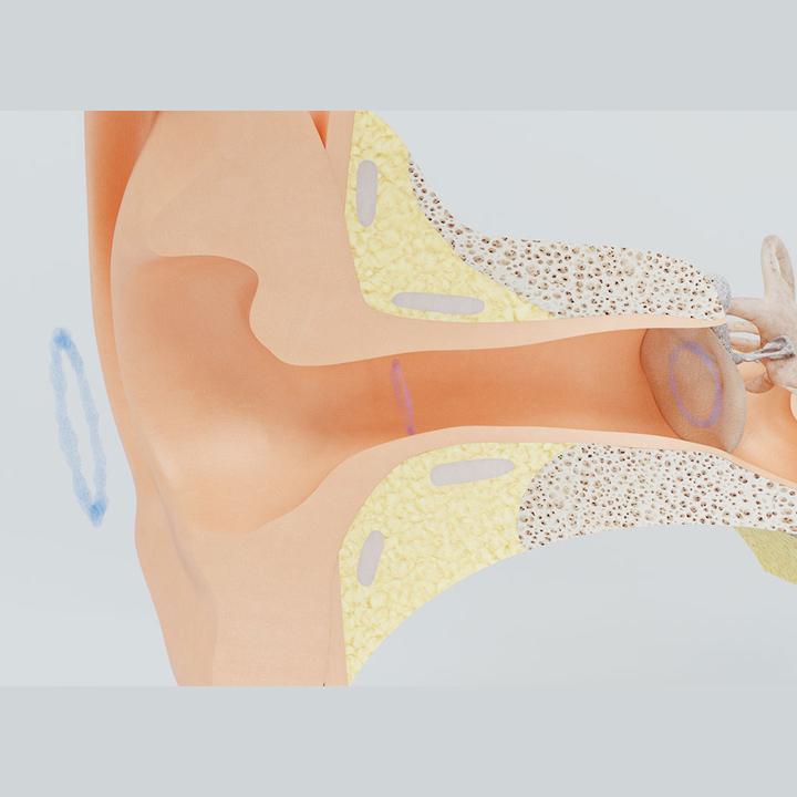 Actual product image ReUseMe Ear Cleaning Tool