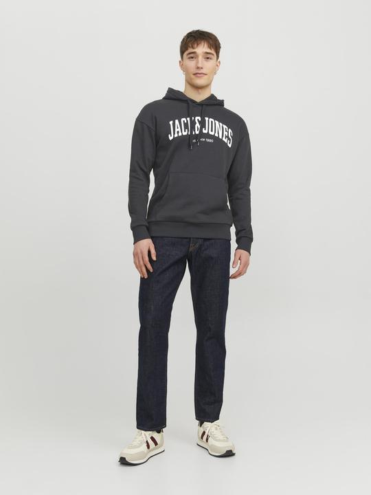 Image du produit Jack & Jones Sweat à capuche (M)