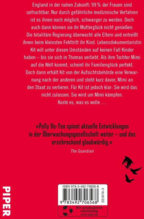 Actual product image The Mothers – Sie müssen perfekt sein oder der Staat nimmt ihnen ihr Kind (German, Polly Ho-Yen, 2023)