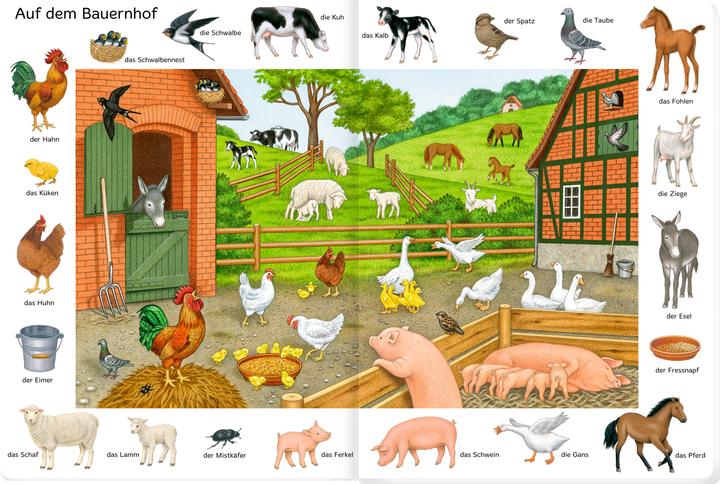 Produktbild Bilder suchen-Wörter finden: So viele Tiere (Deutsch, Sybille Brauer, 2023)
