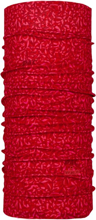 ciccioli