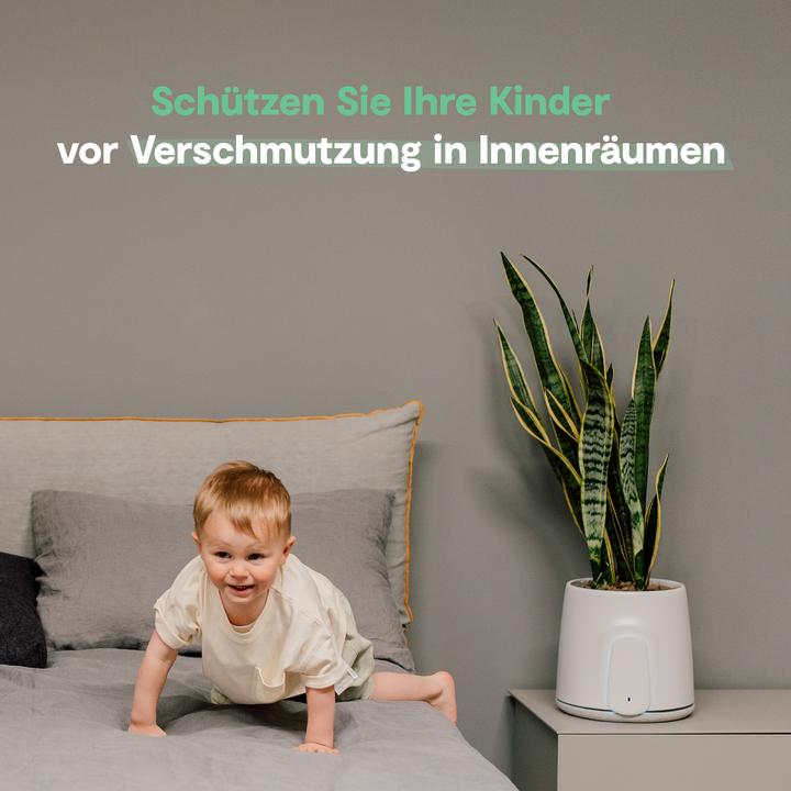 Image du produit Vitesy Natede Smart (20 m²)