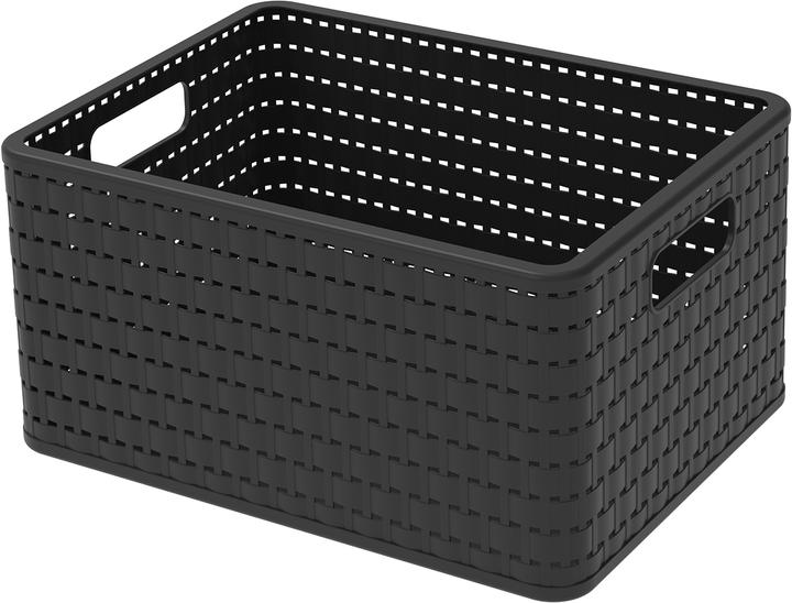 Immagine prodotto Rotho Paese (1 x, 36,8 x 27,8 x 19,1 cm)