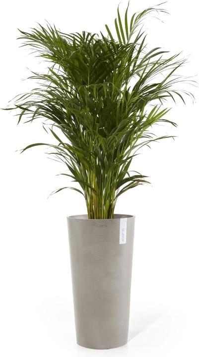 Produktbild Ecopots Amsterdam halbhoch (66 cm)